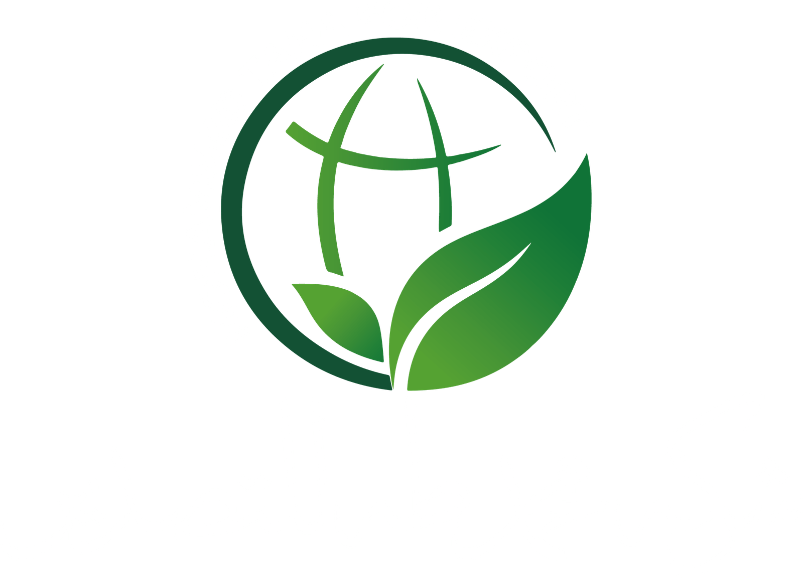 Mohammed Taha for Export logo